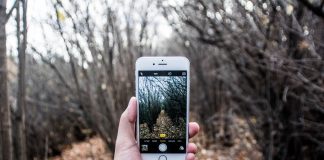 Watch Really Funny Animals Do Crazy Things